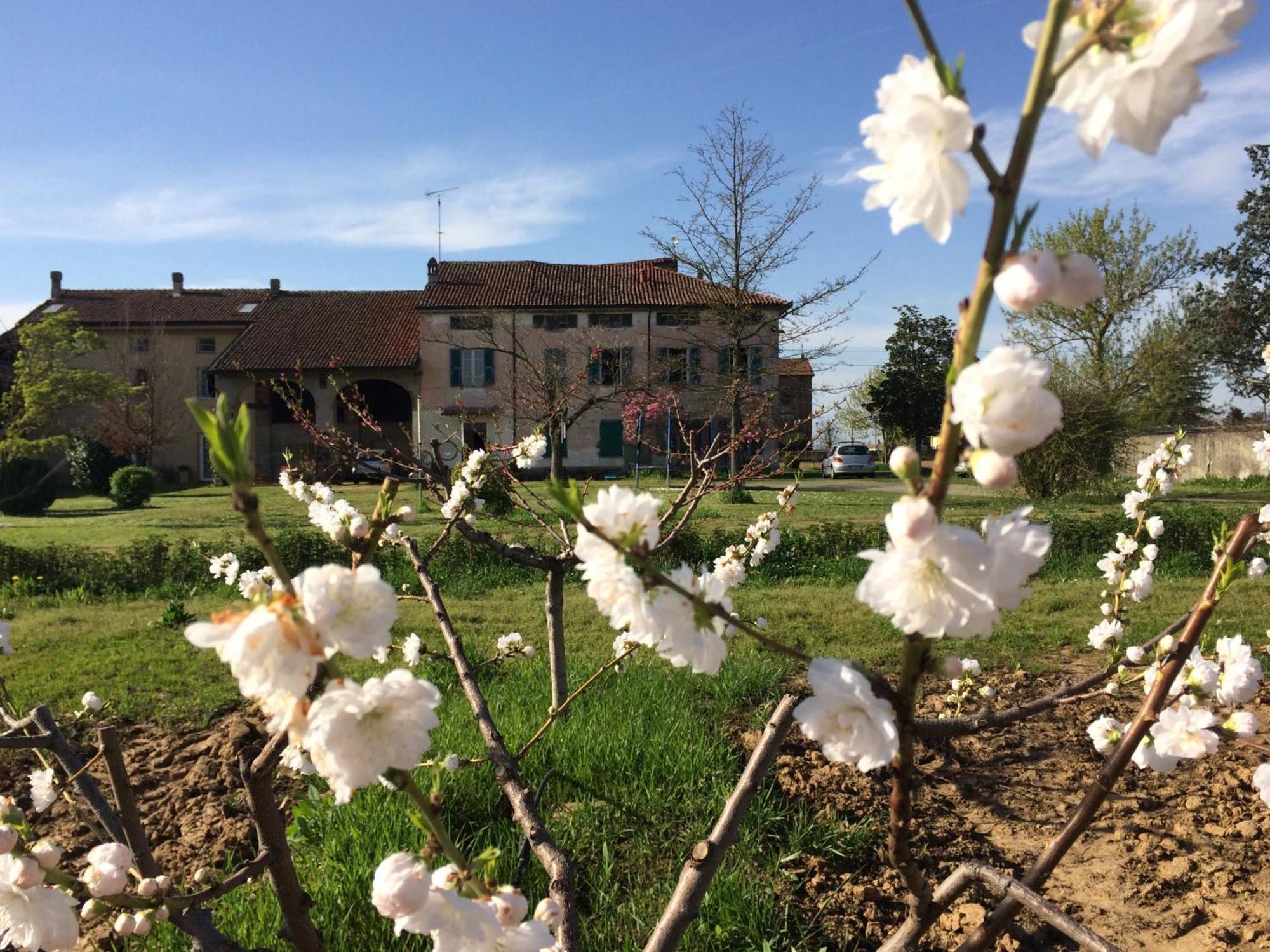 Fattoria Del Soul Bosco Marengo Exterior photo