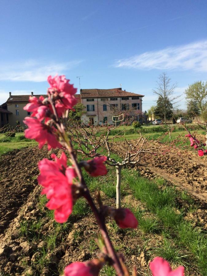 Fattoria Del Soul Bosco Marengo Exterior photo